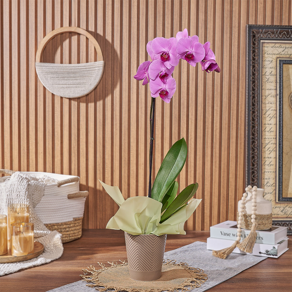 Orchid Plant in Pink Planter – how the gift is presented
