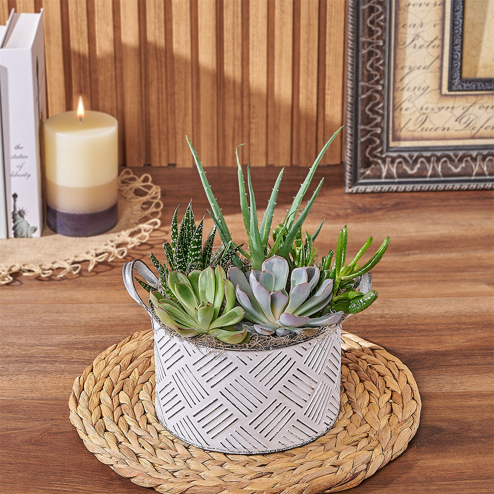 Custom Thank You Gift Baskets - Generous Succulent Gift