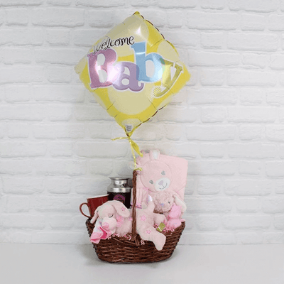 Welcome Newborn Baby Girl Gift Basket From Chicago Baskets - Baby Gift Set - Chicago Delivery